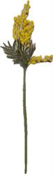 Ramo Mimosa h 60 cm 5F