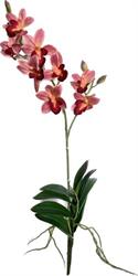Ramo Orchidea Aerea Red h 76 cm 8F