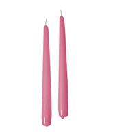 Candela Conica Cf 10 Pz Rosa h 25 cm Ø 2,2 cm