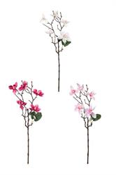 Ramo Magnolia 3 Col Ass h 66 cm