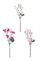 Ramo Magnolia 3 Col Ass h 66 cm