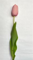 Tulpano Singolo Real Touch Rosa h 70 cm