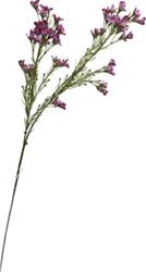 Wax Flower Spray Vinaccia h 70 cm