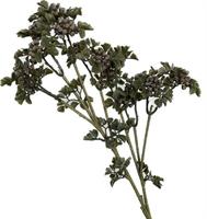 Ramo Berry Spray Grigio h 60 cm