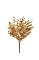 Bush Eucalipto Oro h 36 cm
