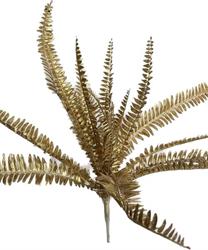 Bush Felce Oro h 51 cm 17F