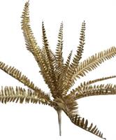 Bush Felce Oro h 51 cm 17F