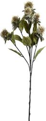 Ramo Cartamo Spray h 80 cm 6F