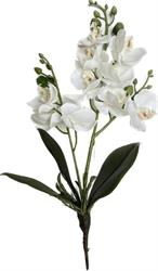 Pianta Orchidea Bianco h 33 cm 11F