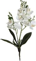 Pianta Orchidea Bianco h 33 cm 11F