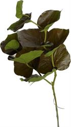 Ramo Begonia Spray Verde h 75 cm 11F