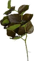 Ramo Begonia Spray Verde h 75 cm 11F