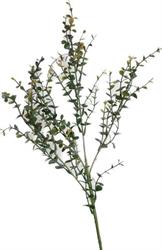 Ramo Eucalipto Verde h 75 cm