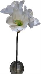 Ramo Amarillis Bianco h 65 cm 3F