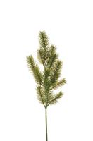 Ramo Pino Real Touch Verde h 50 cm 15T