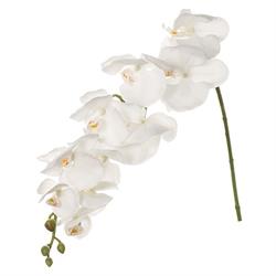 Ramo Orchidea Bianco h 105 cm 10F