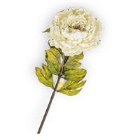 Ramo Peonia Spray