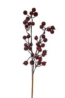 Rametto Bacche Bordeaux h 35 cm