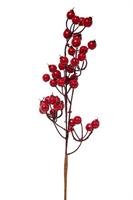 Rametto Bacche Rosso h 35 cm