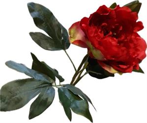 Ramo Peonia Rosso h 87 cm