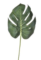 Foglia Filodendro Verde h 33 cm