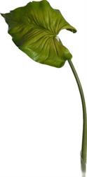 Ramo Foglia Calla Verde h 90 cm