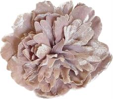 Pick Peonia De Luxe Cipria h 12 cm