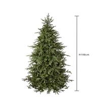 Abete Gran Sasso Verde h 2 mt 2703T