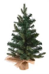 Abete C/Base Legno