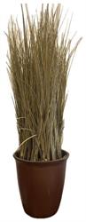 Pianta Festuca C/Vaso Naturale h 61 cm 1275F
