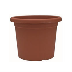 Vaso Botanico 12 Pezzi