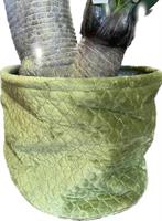 Cesto a Caspò Velluto Verde Oliva h 26 cm Ø 31 cm