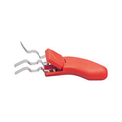 Spinarose Dallas Rosso h 18 cm