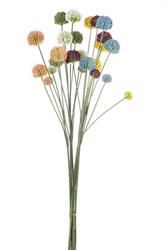 Ramo Echinops Multicolor h 60 cm