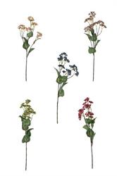 Ramo Fiore