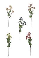 Ramo Fiore