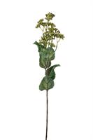 Ramo Fiore Verde h 66 cm