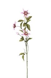 Ramo Passiflora h 75 cm