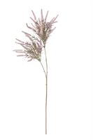 Ramo Veronica Rosa h 1 mt x2