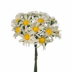 Mazzetto x 12 Margherita Bianco Ø 2.5 cm