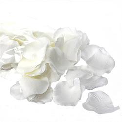 Petali Rosa