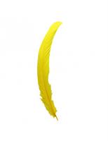 Piume Giallo h 16/18 cm Cf 14 Gr