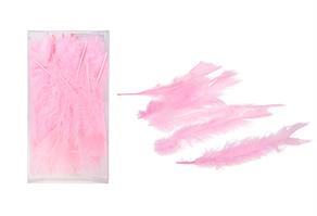 Piume Rosa h 16/18 cm Cf 50 PZ