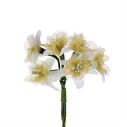 Mazzetto x 6 Fiorellino Organza Ecru Ø 3 cm
