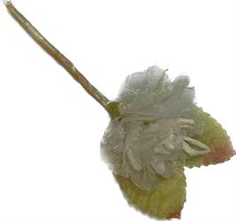 Mini Pick Fiore Organza Crema h 7 cm
