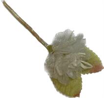 Mini Pick Fiore Organza Crema h 7 cm