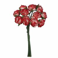 Mazzetto x 12 Rosa Carta