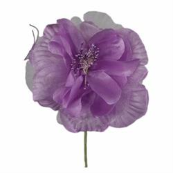Pick Peonia