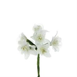 Mazzetto x 6 Fiorellino Organza Crema Ø 3 cm
