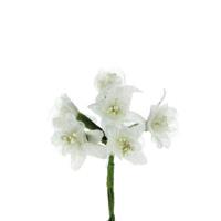 Mazzetto x 6 Fiorellino Organza Crema Ø 3 cm